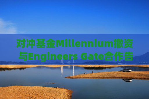 对冲基金Millennium撤资 与Engineers Gate合作告终