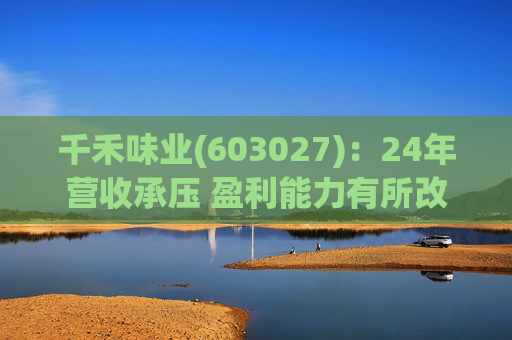 千禾味业(603027)：24年营收承压 盈利能力有所改善