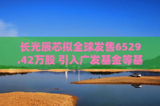 长光辰芯拟全球发售6529.42万股 引入广发基金等基石投资者  第1张