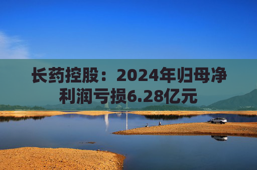 长药控股：2024年归母净利润亏损6.28亿元  第1张