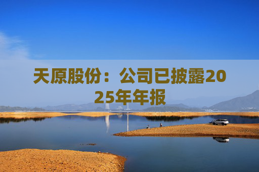 天原股份：公司已披露2025年年报
