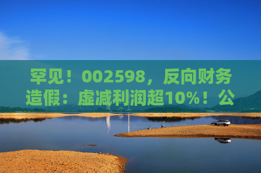 罕见！002598，反向财务造假：虚减利润超10%！公司及时任董事长、总经理等合计拟被罚690万元，下周被“ST”