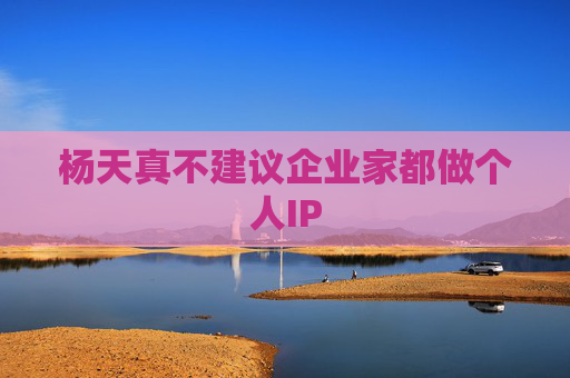 杨天真不建议企业家都做个人IP  第1张
