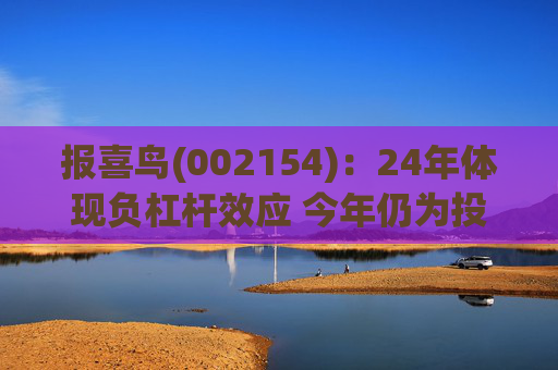 报喜鸟(002154)：24年体现负杠杆效应 今年仍为投入年
