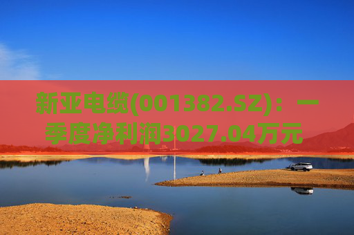 新亚电缆(001382.SZ)：一季度净利润3027.04万元 同比增加3.40%
