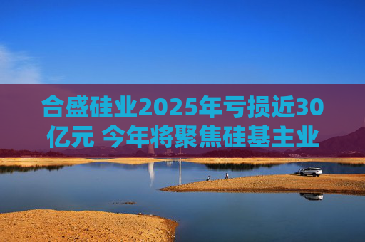合盛硅业2025年亏损近30亿元 今年将聚焦硅基主业、适度收缩光伏业务投入 第1张 合盛硅业2025年亏损近30亿元 今年将聚焦硅基主业、适度收缩光伏业务投入 第1张