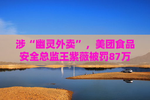 涉“幽灵外卖”，美团食品安全总监王紫薇被罚87万