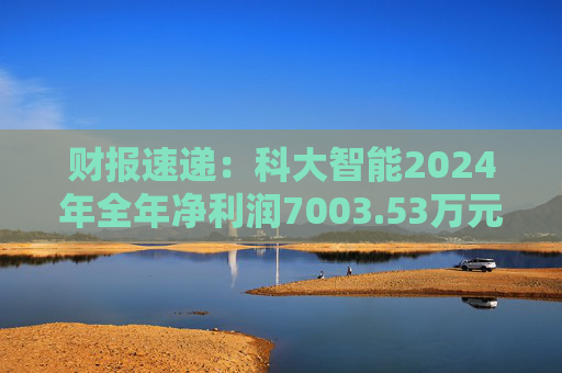 财报速递：科大智能2024年全年净利润7003.53万元
