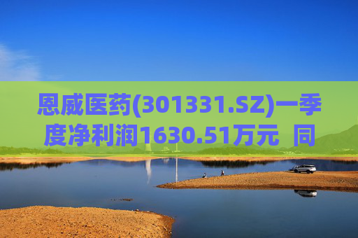 恩威医药(301331.SZ)一季度净利润1630.51万元  同比增长93.56% 第1张