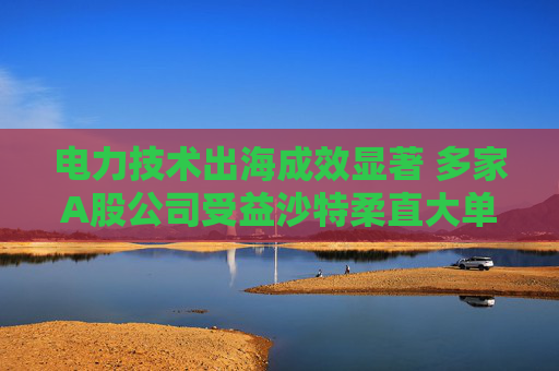 电力技术出海成效显著 多家A股公司受益沙特柔直大单
