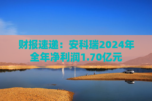 财报速递：安科瑞2024年全年净利润1.70亿元  第1张