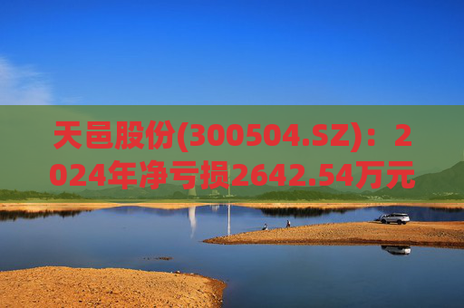 天邑股份(300504.SZ)：2024年净亏损2642.54万元