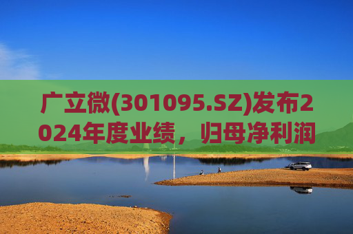 广立微(301095.SZ)发布2024年度业绩，归母净利润8026.85万元，下降37.68%  第1张