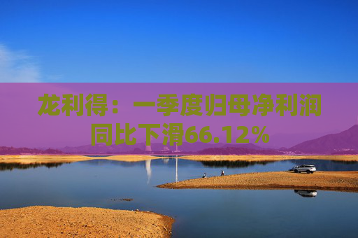 龙利得：一季度归母净利润同比下滑66.12%  第1张