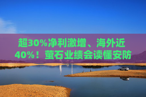 超30%净利激增、海外近 40%！萤石业绩会读懂安防 C 端新趋势