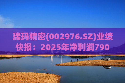 瑞玛精密(002976.SZ)业绩快报：2025年净利润790.08万元