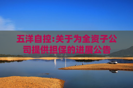 五洋自控:关于为全资子公司提供担保的进展公告