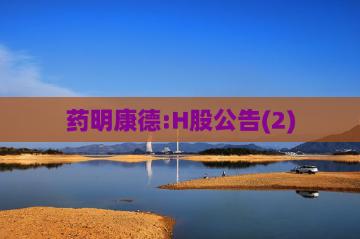 药明康德:H股公告(2)