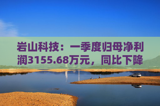 岩山科技：一季度归母净利润3155.68万元，同比下降59.68%