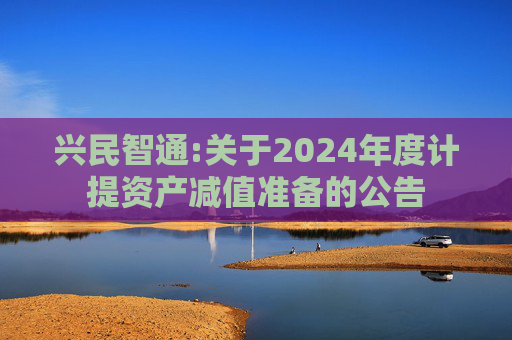 兴民智通:关于2024年度计提资产减值准备的公告