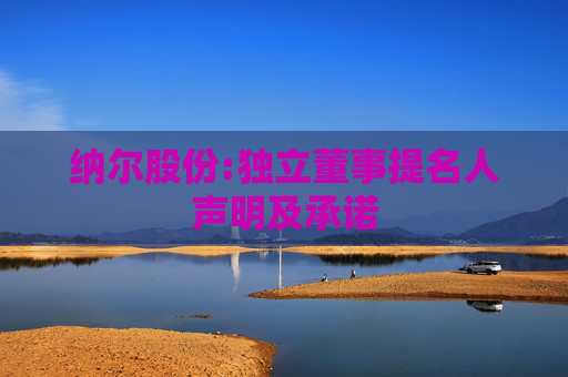 纳尔股份:独立董事提名人声明及承诺