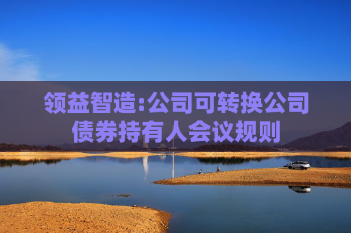 领益智造:公司可转换公司债券持有人会议规则