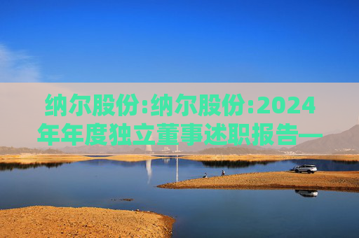 纳尔股份:纳尔股份:2024年年度独立董事述职报告――徐艳辉  第1张