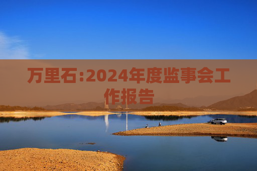 万里石:2024年度监事会工作报告