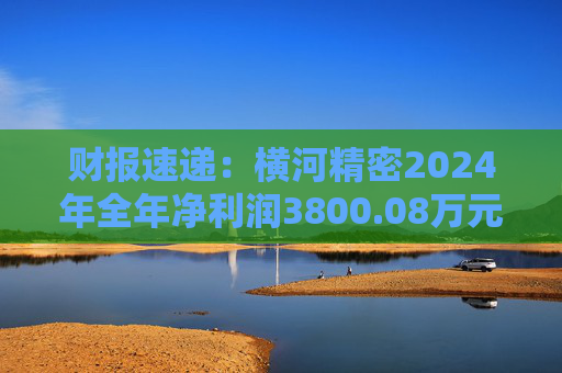财报速递：横河精密2024年全年净利润3800.08万元