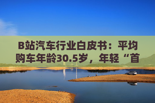 B站汽车行业白皮书：平均购车年龄30.5岁，年轻“首购”人群成车企增量目标