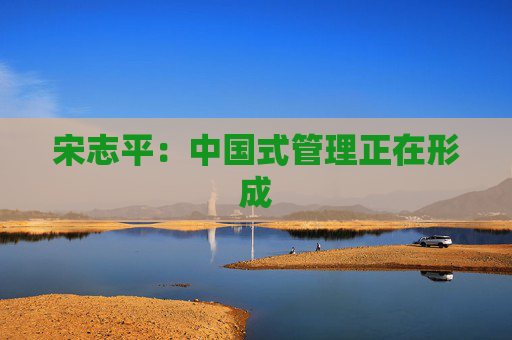 宋志平：中国式管理正在形成