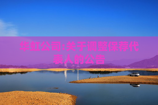 华虹公司:关于调整保荐代表人的公告