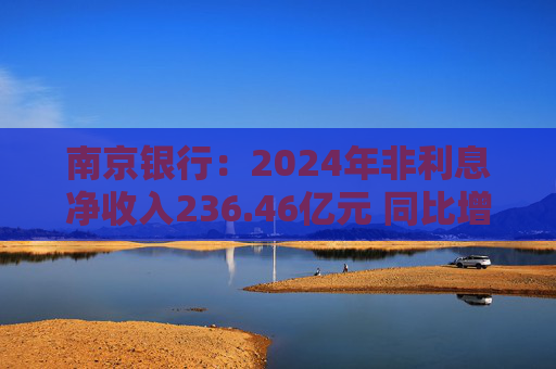 南京银行：2024年非利息净收入236.46亿元 同比增长19.98%