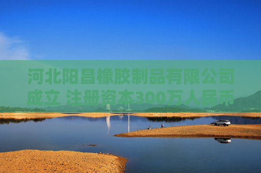 河北阳昌橡胶制品有限公司成立 注册资本300万人民币