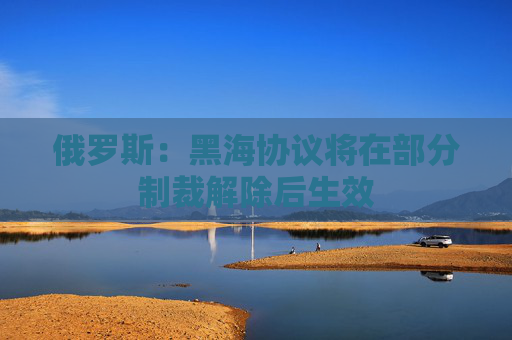 俄罗斯：黑海协议将在部分制裁解除后生效