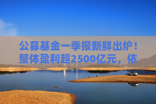 公募基金一季报新鲜出炉！整体盈利超2500亿元，依旧看好科技、大消费  第1张