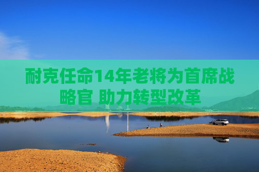 耐克任命14年老将为首席战略官 助力转型改革