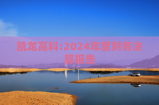 凯龙高科:2024年度财务决算报告