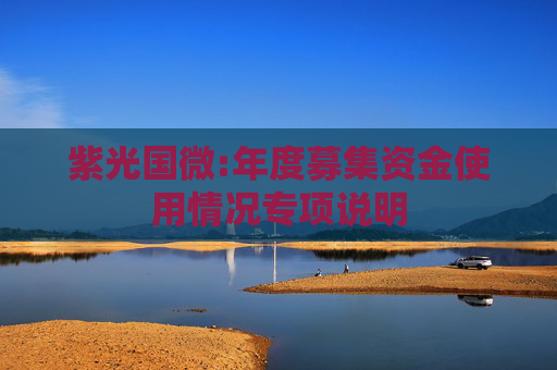 紫光国微:年度募集资金使用情况专项说明