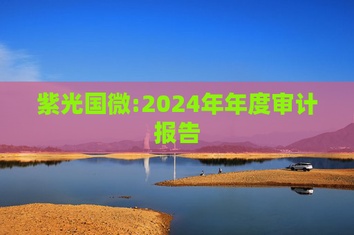 紫光国微:2024年年度审计报告  第1张