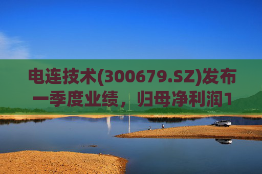 电连技术(300679.SZ)发布一季度业绩，归母净利润1.23亿元，同比下降23.8%  第1张