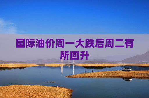 国际油价周一大跌后周二有所回升