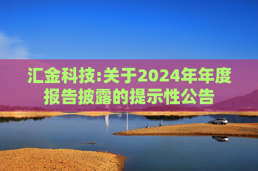 汇金科技:关于2024年年度报告披露的提示性公告