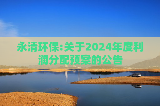 永清环保:关于2024年度利润分配预案的公告