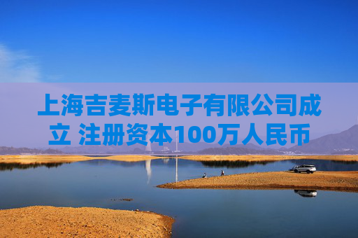 上海吉麦斯电子有限公司成立 注册资本100万人民币