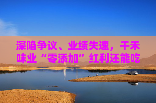 深陷争议、业绩失速，千禾味业“零添加”红利还能吃多久