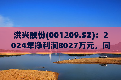 洪兴股份(001209.SZ)：2024年净利润8027万元，同比下降7.88%