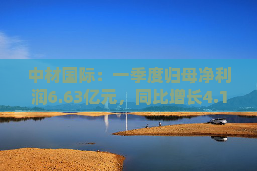 中材国际：一季度归母净利润6.63亿元，同比增长4.19%  第1张