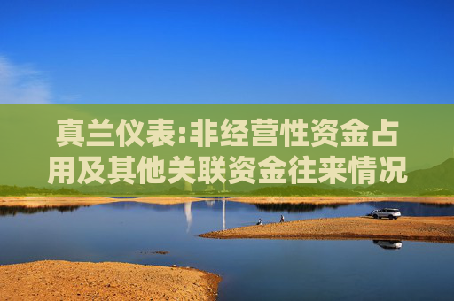 真兰仪表:非经营性资金占用及其他关联资金往来情况专项说明