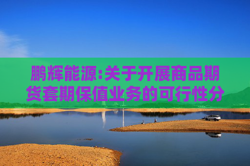 鹏辉能源:关于开展商品期货套期保值业务的可行性分析报告
